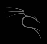 Kali Linux